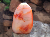 Polished Carnelian Standing Free Forms x 4 From Madagascar - Toprock Gemstones and Minerals