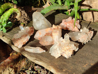 Natural Quartz Clusters x 7 From Zambia - Toprock Gemstones and Minerals