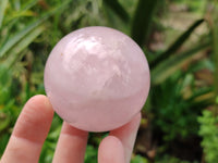 Polished Rose Quartz Spheres x 6 From Madagascar - Toprock Gemstones and Minerals
