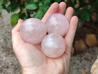 Polished Rose Quartz Spheres x 6 From Madagascar - Toprock Gemstones and Minerals