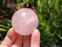 Polished Rose Quartz Spheres x 6 From Madagascar - Toprock Gemstones and Minerals