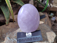 Polished Rose Quartz Standing Free Forms x 2 From Madagascar - Toprock Gemstones and Minerals