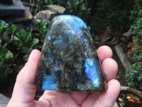 Polished Labradorite Spheres x 4 From Tulear, Madagascar - Toprock Gemstones and Minerals