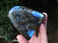 Polished Labradorite Spheres x 4 From Tulear, Madagascar - Toprock Gemstones and Minerals