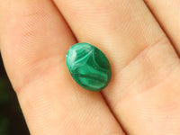 Hand Made Flower Malachite Oval Stud Earrings - Sold Per Pair - From Congo - Toprock Gemstones and Minerals