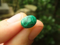 Hand Made Flower Malachite Oval Stud Earrings - Sold Per Pair - From Congo - Toprock Gemstones and Minerals