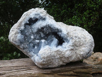 Natural Celestite Geode Specimen x 1 From Sakoany, Madagascar - Toprock Gemstones and Minerals
