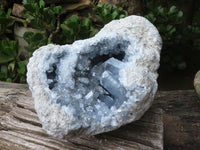 Natural Celestite Geode Specimen x 1 From Sakoany, Madagascar - Toprock Gemstones and Minerals