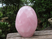 Polished Rose Quartz Standing Free Forms x 3 From Madagascar - Toprock Gemstones and Minerals