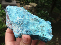 Natural Shattuckite with Chrysocolla & Malachite x 9 from Kaokoveld, Namibia - Toprock Gemstones and Minerals