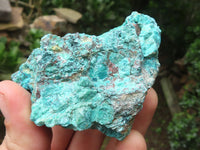 Natural Shattuckite with Chrysocolla & Malachite x 9 from Kaokoveld, Namibia - Toprock Gemstones and Minerals