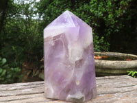 Polished Chevron Amethyst Points x 2 From Madagascar - Toprock Gemstones and Minerals