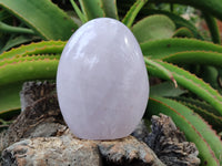 Polished Rose Quartz Standing Free Forms x 2 From Madagascar - Toprock Gemstones and Minerals