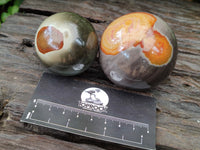 Polished Polychrome Jasper Spheres x 4 From Mahajanga, Madagascar - Toprock Gemstones and Minerals