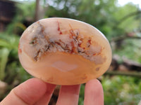 Polished Flower Agate Palm Stones x 12 From Madagascar - Toprock Gemstones and Minerals