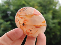 Polished Flower Agate Palm Stones x 12 From Madagascar - Toprock Gemstones and Minerals