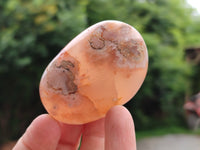 Polished Flower Agate Palm Stones x 12 From Madagascar - Toprock Gemstones and Minerals
