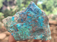 Natural Shattuckite with Chrysocolla and Malachite x 12 from Kaokoveld, Namibia - Toprock Gemstones and Minerals