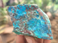 Natural Shattuckite with Chrysocolla and Malachite x 12 from Kaokoveld, Namibia - Toprock Gemstones and Minerals