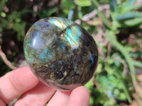 Polished Labradorite Palm Stones x 12 From Tulear, Madagascar - Toprock Gemstones and Minerals