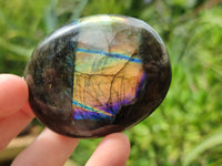 Polished Labradorite Palm Stones x 12 From Tulear, Madagascar - Toprock Gemstones and Minerals