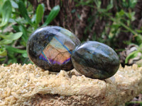Polished Labradorite Palm Stones x 12 From Tulear, Madagascar - Toprock Gemstones and Minerals