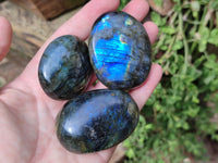 Polished Labradorite Palm Stones x 12 From Tulear, Madagascar - Toprock Gemstones and Minerals