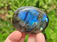 Polished Labradorite Palm Stones x 12 From Tulear, Madagascar - Toprock Gemstones and Minerals