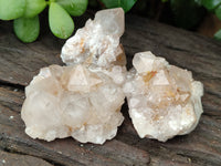 Natural Ametrine Spirit Quartz Clusters x 35 From Boekenhouthoek, South Africa - Toprock Gemstones and Minerals