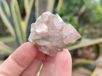 Natural Ametrine Spirit Quartz Clusters x 35 From Boekenhouthoek, South Africa - Toprock Gemstones and Minerals