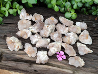 Natural Ametrine Spirit Quartz Clusters x 35 From Boekenhouthoek, South Africa - Toprock Gemstones and Minerals