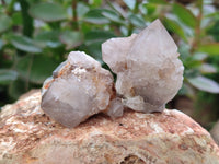 Natural Ametrine Spirit Quartz Clusters x 35 From Boekenhouthoek, South Africa - Toprock Gemstones and Minerals