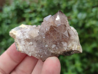 Natural Ametrine Spirit Quartz Clusters x 35 From Boekenhouthoek, South Africa - Toprock Gemstones and Minerals