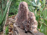 Natural Hematoid Quartz Cluster x 1 From Zambia - Toprock Gemstones and Minerals