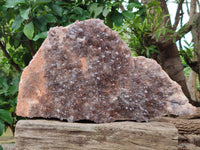 Natural Hematoid Quartz Cluster x 1 From Zambia - Toprock Gemstones and Minerals