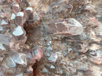 Natural Hematoid Quartz Cluster x 1 From Zambia - Toprock Gemstones and Minerals