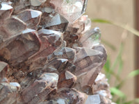 Natural Hematoid Quartz Cluster x 1 From Zambia - Toprock Gemstones and Minerals