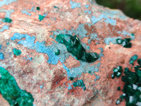 Natural Dioptase Cabinet Specimen with Shattuckite x 1 From Congo - Toprock Gemstones and Minerals