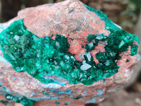 Natural Dioptase Cabinet Specimen with Shattuckite x 1 From Congo - Toprock Gemstones and Minerals