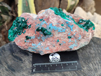 Natural Dioptase Cabinet Specimen with Shattuckite x 1 From Congo - Toprock Gemstones and Minerals