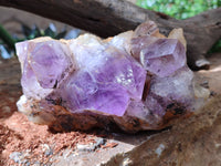 Natural Jacaranda Amethyst Quartz Clusters x 2 from Mumbwa, Zambia - Toprock Gemstones and Minerals