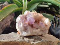 Natural Jacaranda Amethyst Quartz Clusters x 2 from Mumbwa, Zambia - Toprock Gemstones and Minerals