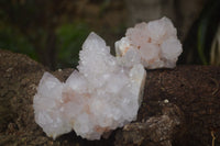 Natural Amethyst Spirit Quartz Clusters x 2 From Boekenhouthoek, South Africa - Toprock Gemstones and Minerals