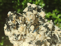 Natural Schorl Black Tourmaline Specimens x 2 From Erongo, Namibia - Toprock Gemstones and Minerals