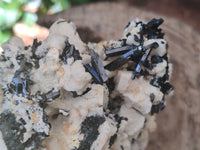 Natural Schorl Black Tourmaline Specimens x 2 From Erongo, Namibia - Toprock Gemstones and Minerals