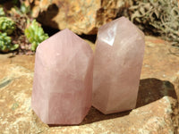 Polished Rose Quartz Points x 6 From Ambatondrazaka, Madagascar - Toprock Gemstones and Minerals