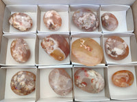 Polished Flower Agate Galet-Palm Stones x 12 From Antsahalova, Madagascar - Toprock Gemstones and Minerals