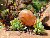 Polished Flower Agate Galet-Palm Stones x 12 From Antsahalova, Madagascar - Toprock Gemstones and Minerals