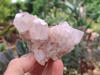 Natural Amethyst Spirit Quartz Clusters x 6 From Boekenhouthoek, South Africa - Toprock Gemstones and Minerals