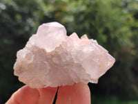 Natural Amethyst Spirit Quartz Clusters x 6 From Boekenhouthoek, South Africa - Toprock Gemstones and Minerals